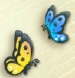 2匹の蝶の採集